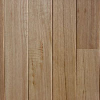 Moxon Timbers Out of Australia Australian Beech Unfinished select grade