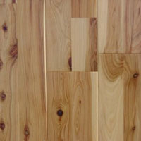 Moxon Timbers Out of Australia Australian 2-strip Cypress