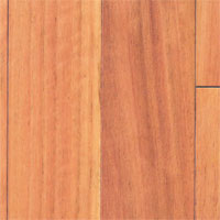 Lyptus Prefinished Natural 2.25in