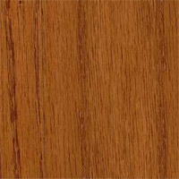 Robbins East Winds Collection Natural Balau (1 strip)