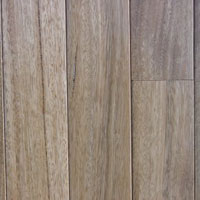 Moxon Timbers Out of Australia Australian Spotted Gum Unfinished select grade 3.25in